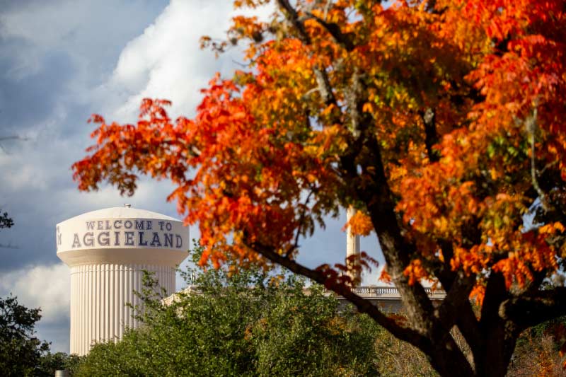 Fall foliage in front of the water tower